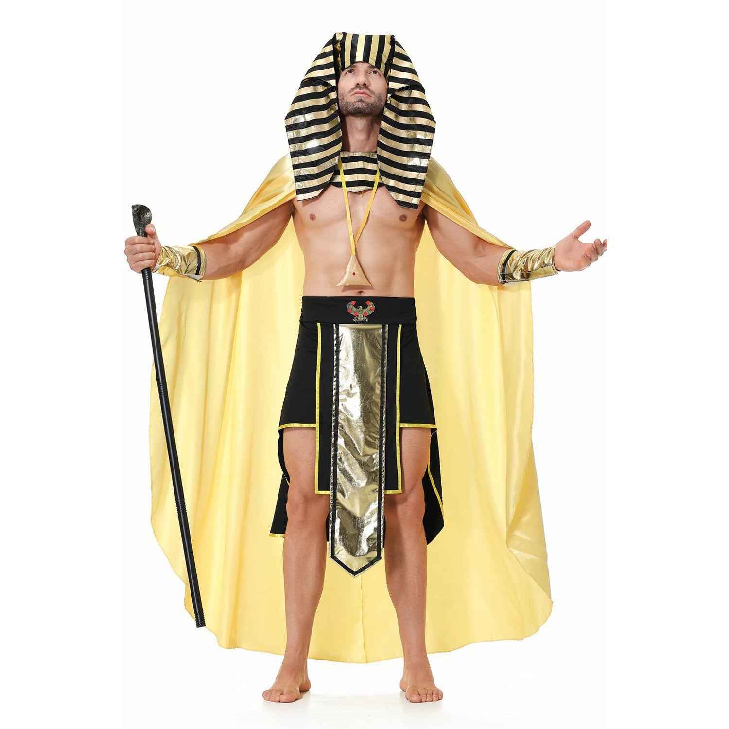 Adult Men Royal Pharaoh Halloween Costume